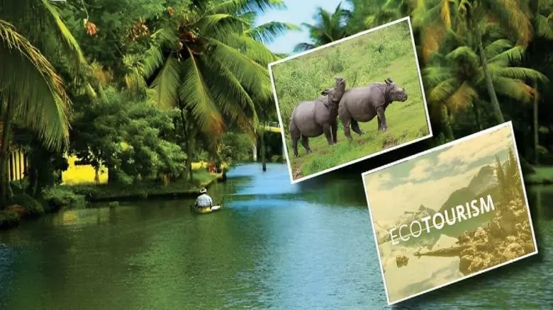 From Beauty to Burden: How Overtourism is Challenging India’s National Parks
