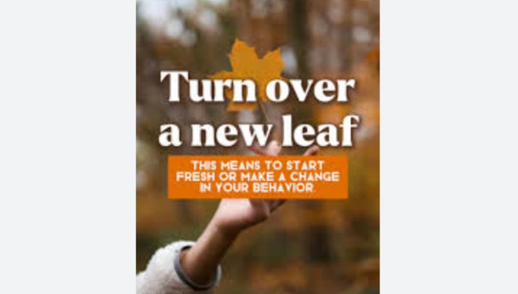 Leaf It to Language: How English Idioms Branch Out from Nature