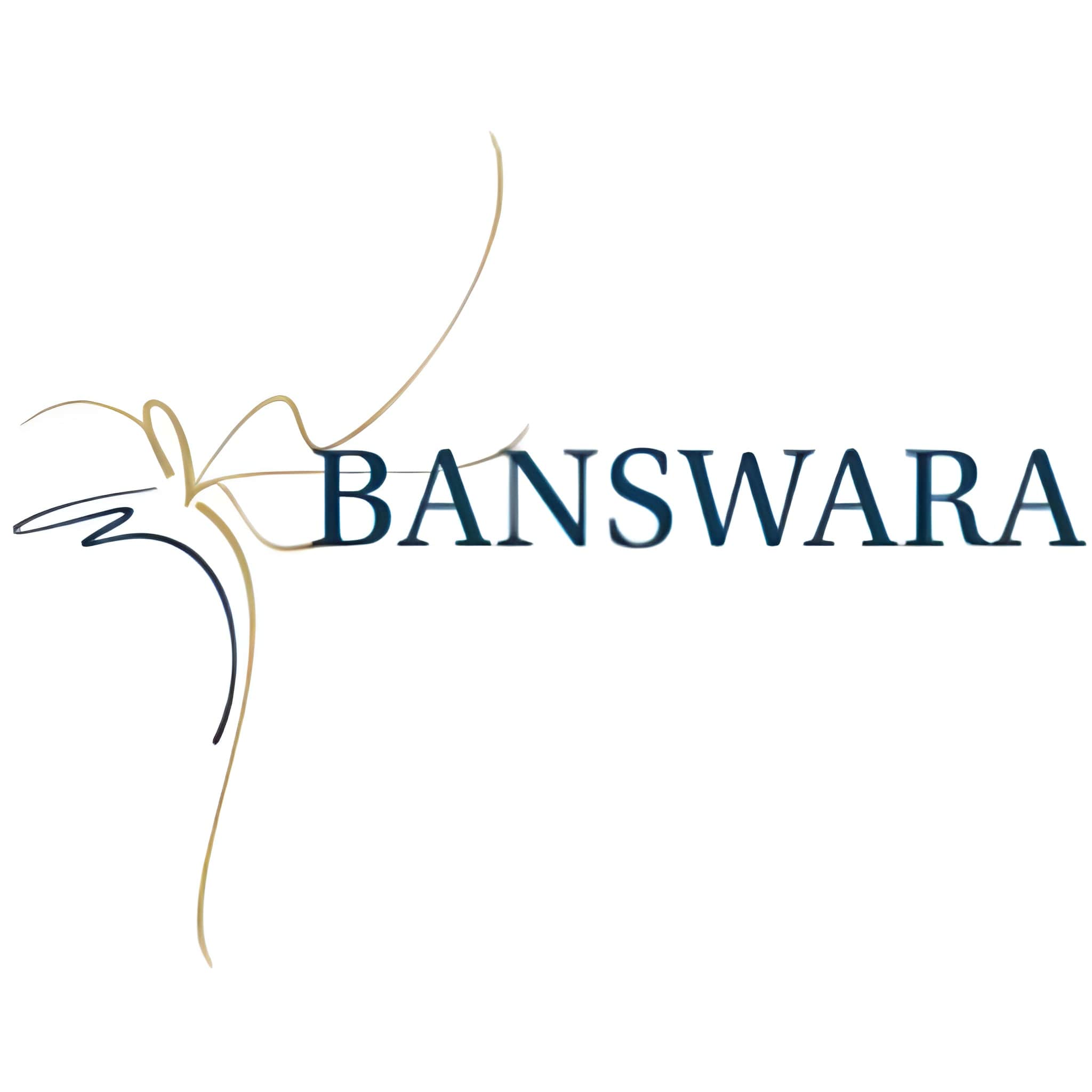 Banswara Syntex Threads Steady Q4, Rewards Investors With Dividend And Leadership Continuity