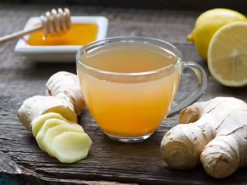 Sipnosis: How Your Daily Drink Can Rewrite Your Fat Story
