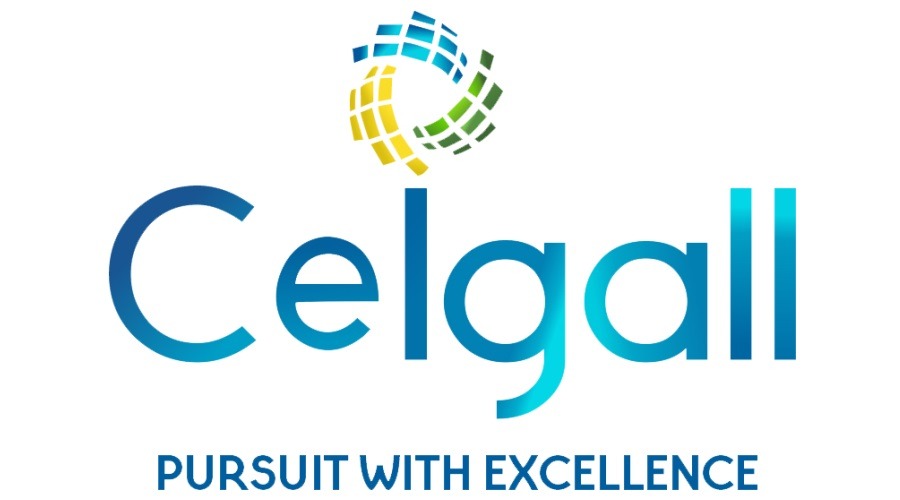 Ceigall India Bags ₹2.25 Billion Project as L1 Bidder: Infrastructure Giant Expands Its Footprint