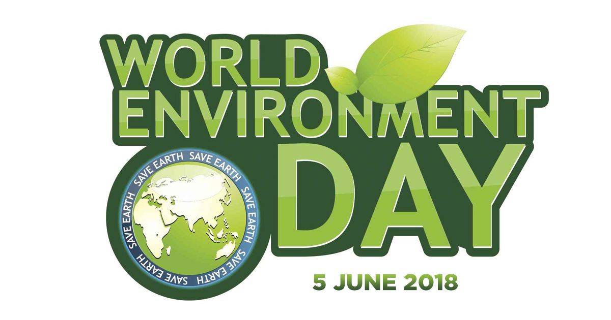 India’s Urban Jungles: Meet the 8 Greenest Cities Turning Concrete into Canopy on World Environment Day 2025