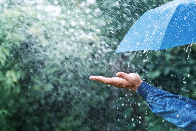 Monsoon Mystery! Early Arrival, But Now It’s Stalled—What’s Next?