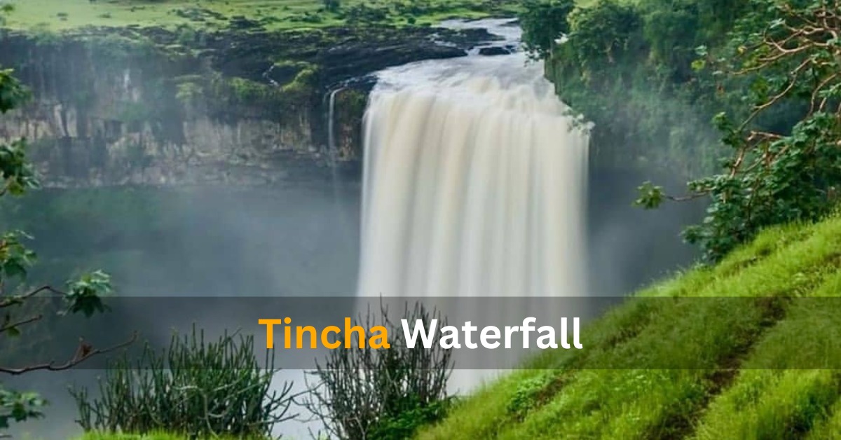 Secret Oases: The 5 Most Thrilling Waterfalls Near Indore You’ve Never Seen