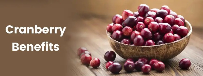Cranberry Smile Shield: How Tiny Berries Deliver Big Oral Health Benefits