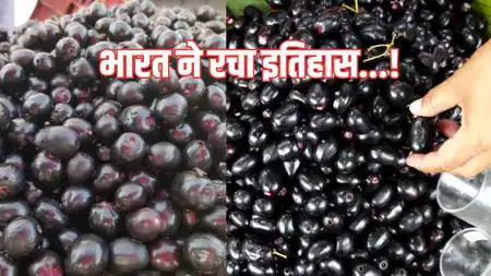 Berry Proud: Jamun's Big Leap from Local Love to Global Fame