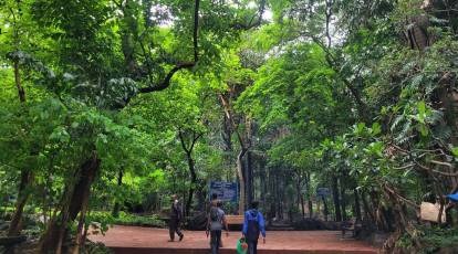 Balancing Growth and Green: Bengaluru’s Business Corridor and Its Forest Footprint