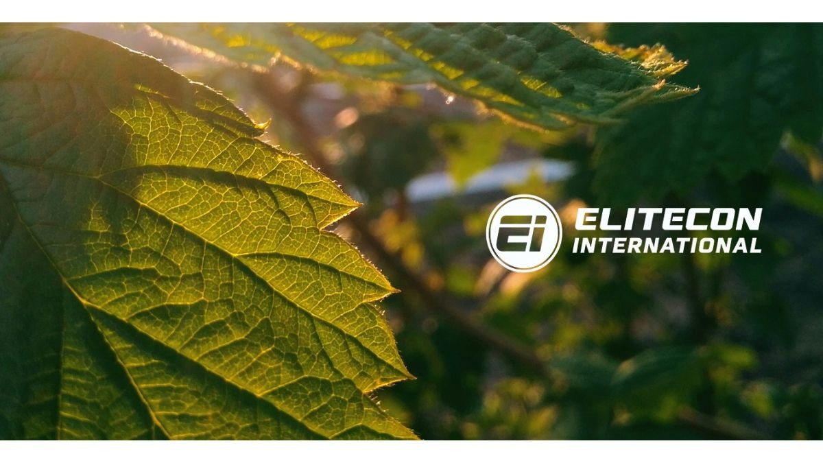 India Markets Regulator Issues Interim Order Against Elitecon International