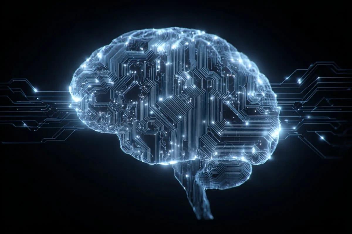 Wired to Code: How the Human Brain Runs on Its Own Syntax