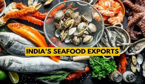 India’s seafood exports surge with tariff relief and FTAs