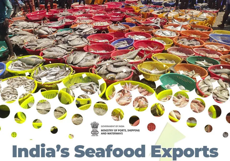 India’s seafood exports surge with tariff relief and FTAs