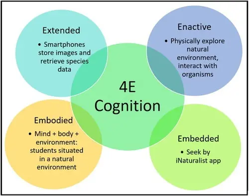 Beyond The Brain: 4E Cognition Theory Redefines Human Intelligence