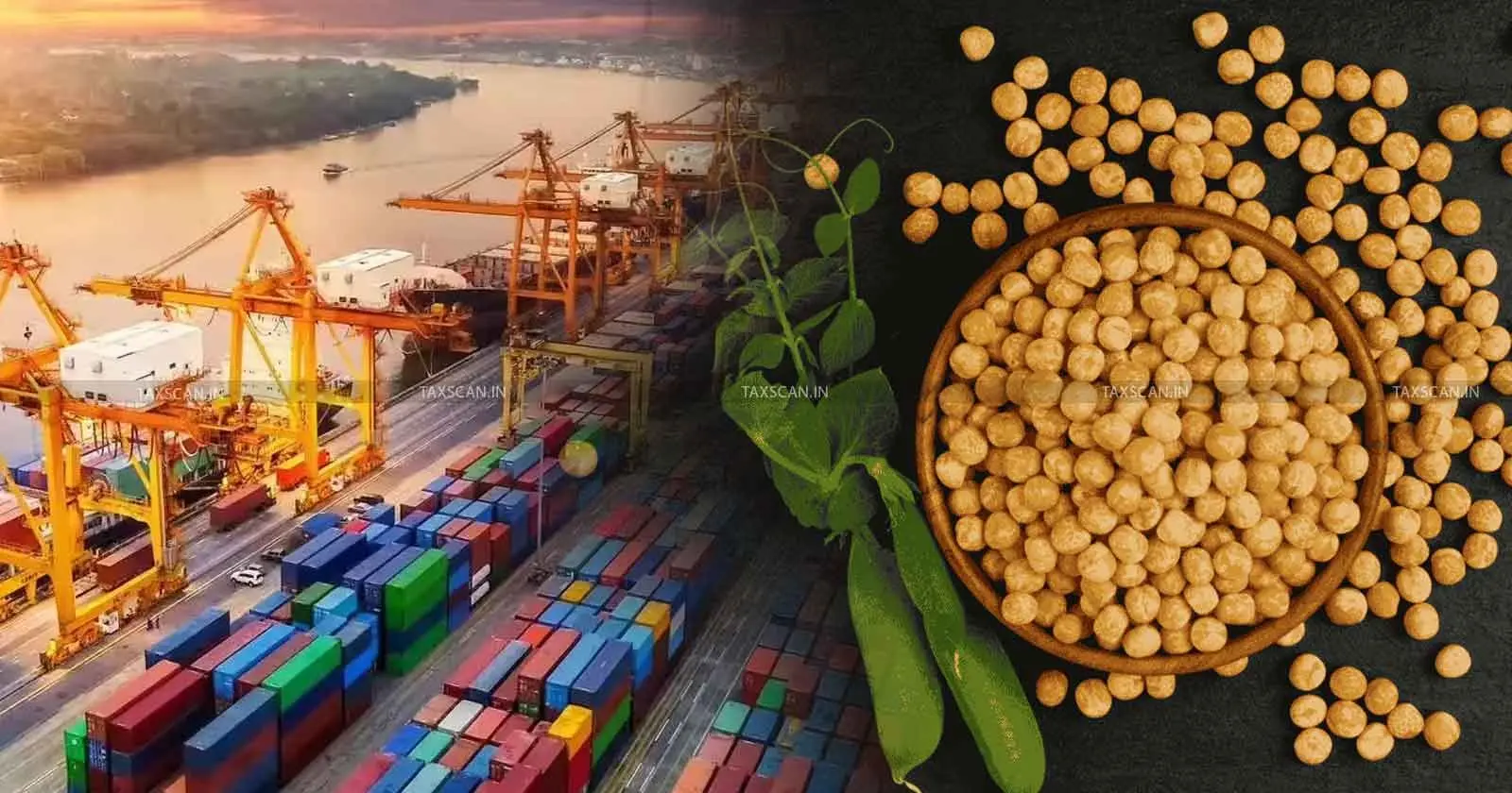 India Extends Duty-Free Yellow Pea Imports To March 2027 To Stabilize Prices