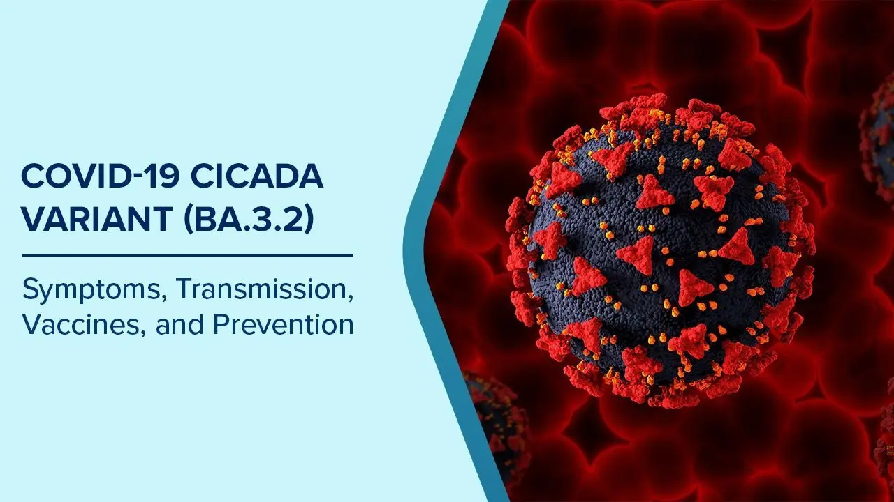 Cicada Surge: Vaccines Still Shield Against BA.3.2 Despite Heavy Mutations