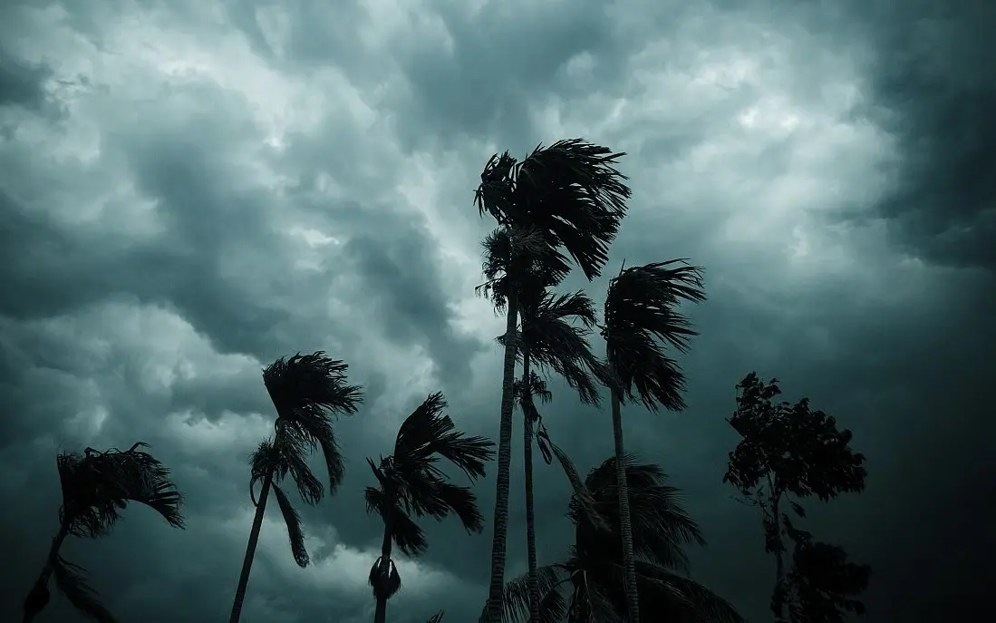 Chennai Finds Cool Relief As Summer Heat Meets Rain