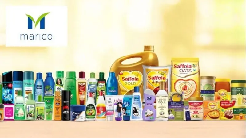 Stocks With Staying Power: Marico And Cera Lead 2026 Picks