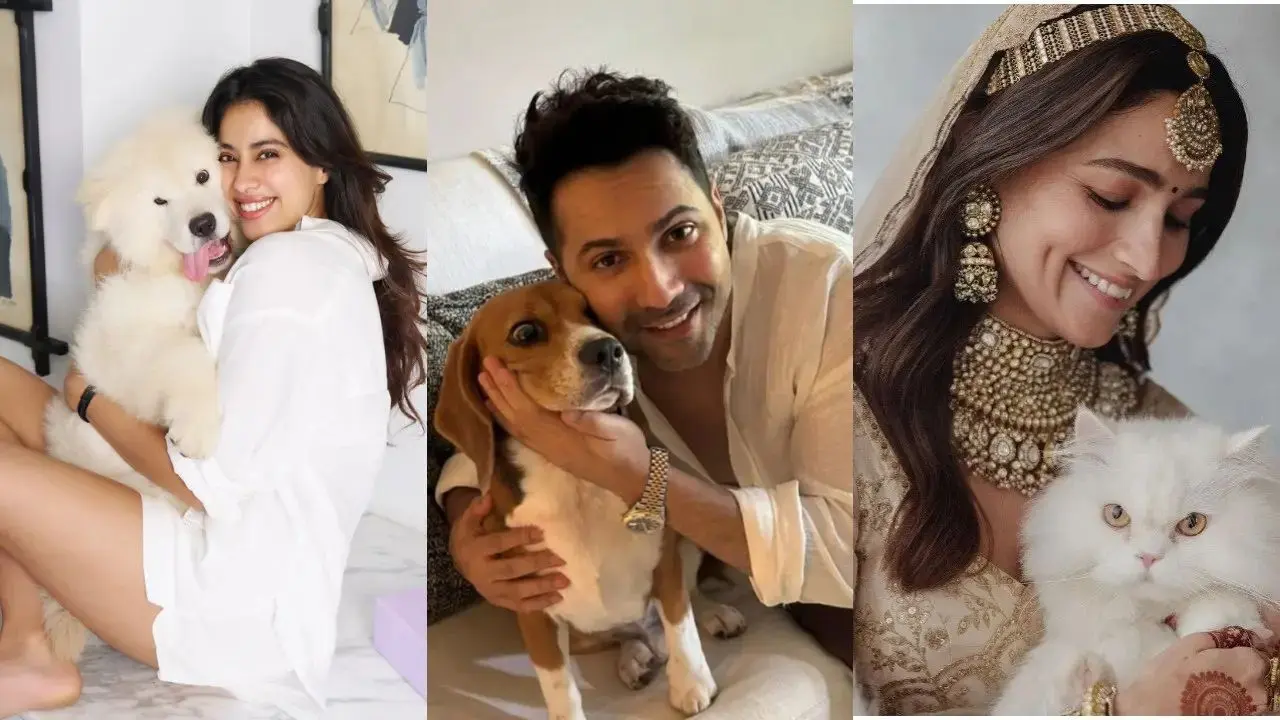 Bollywood Stars Celebrate National Pet Day With Their Adorable Paw-Friends Online