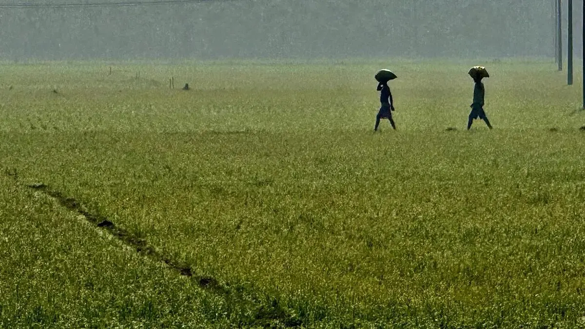 Below-Normal Monsoon And West Asia Conflict Cloud India’s Agriculture Outlook: BOB