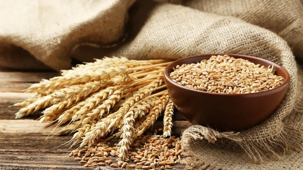 India Approves Additional 2.5 Million Tons Of Wheat Exports To Support Farmers