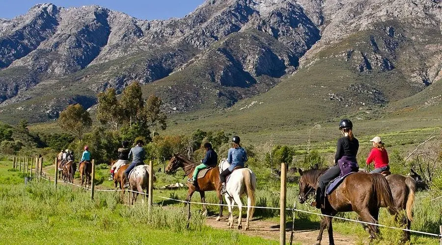 From Horse Trails To Sky Safaris: Domestic Travel Surges Amid Global Uncertainty