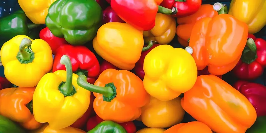 The Secret Of Bell Pepper Colours: What Red, Yellow, And Green Really Mean