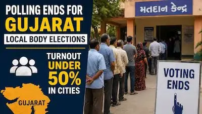 Gujarat Local Body Polls See Low Turnout But Peaceful Voting