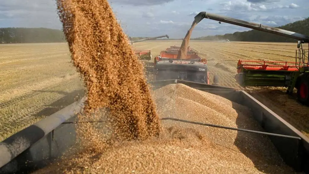 India Unlocks Extra 2.5 Million Tons Of Wheat For Global Markets