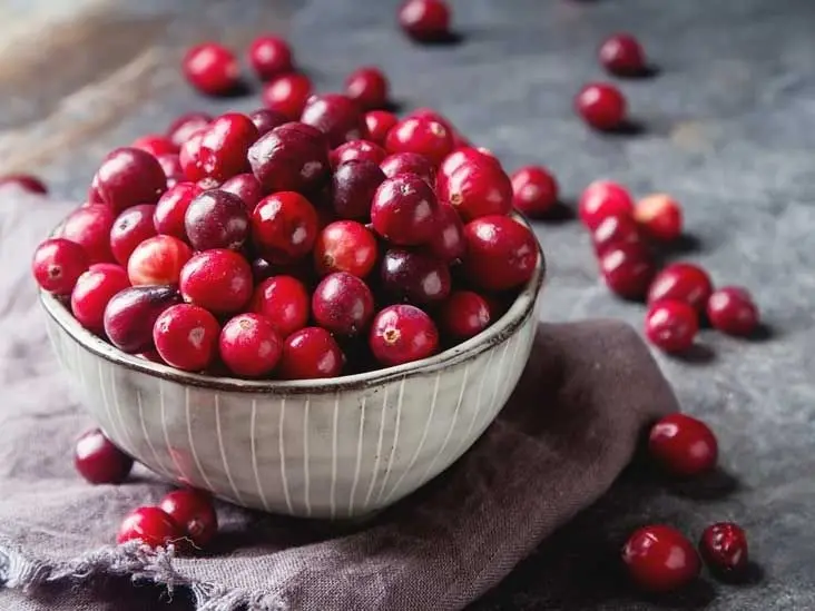 Cranberries Find A Place In Indian Diets