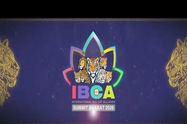 Delhi Roars: India Hosts Historic Global Summit On Big Cat Conservation