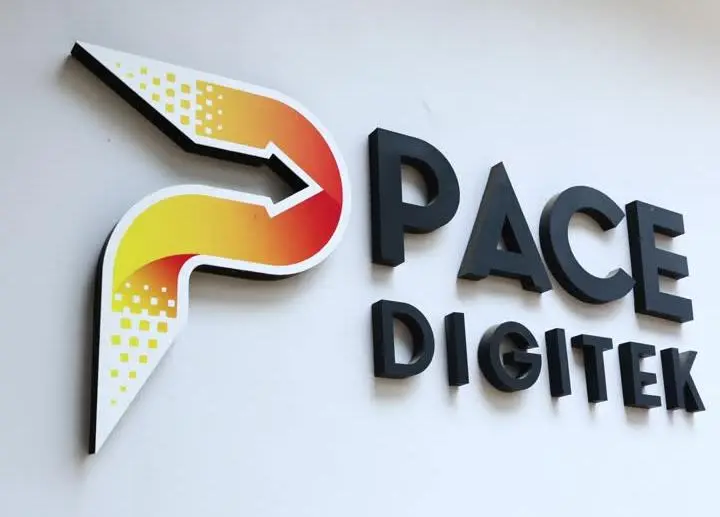 Powering Progress: Pace Digitek Bags ₹7,020 Million BESS Order From DVC