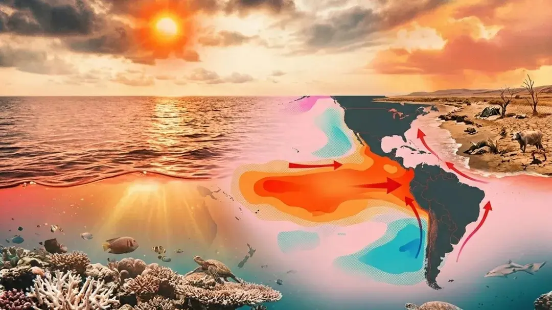 The Oceans Are Boiling Again And This Time El Nino Could Rewrite The Record Books