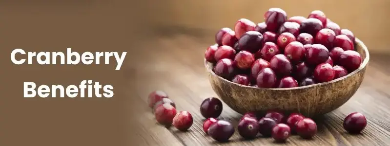 Cranberry Smile Shield: How Tiny Berries Deliver Big Oral Health Benefits