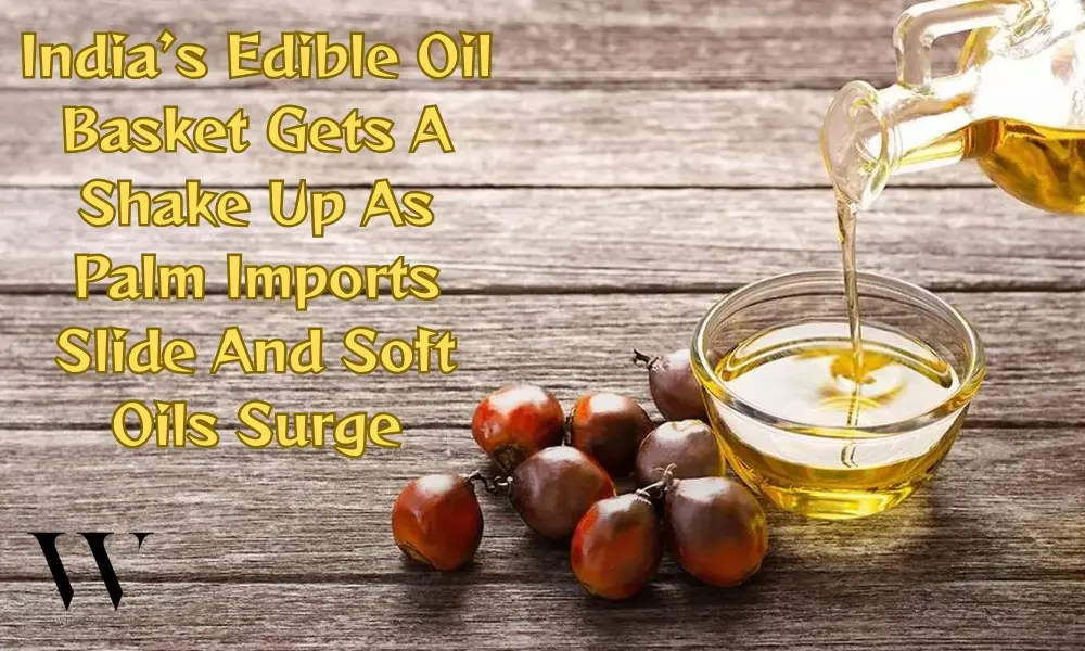 Palm Oil Loses Ground While Sunflower And Soyoil Power India’s April Import Surge