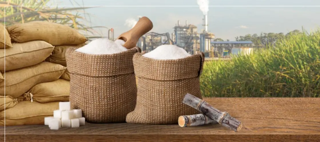 Sweetening Costs: Brazil’s Sugar Production Hits 18.63 Cents Per Pound