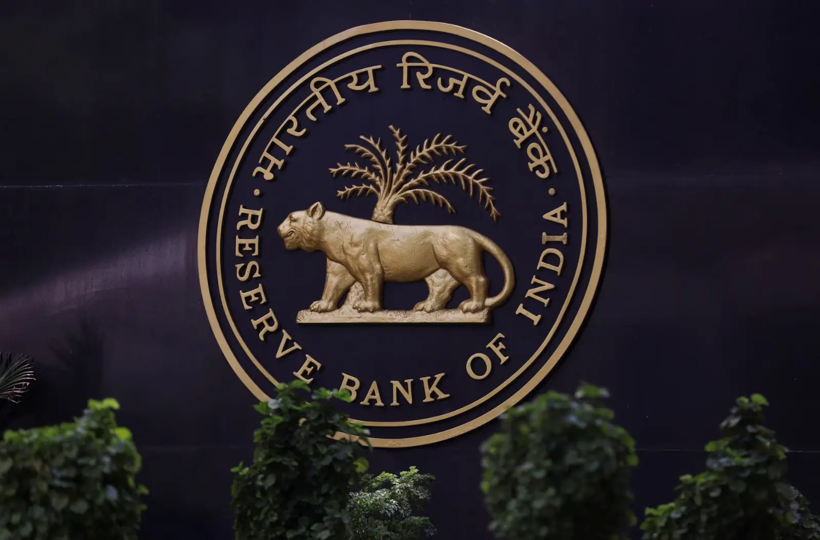 Liquidity Watch: RBI Data Shows Comfortable Banking System Cash, Limited MSF Use On May 13