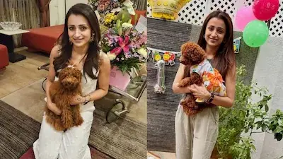 Understated, Not Over The Top: Inside Trisha Krishnan’s Warm Chennai Home