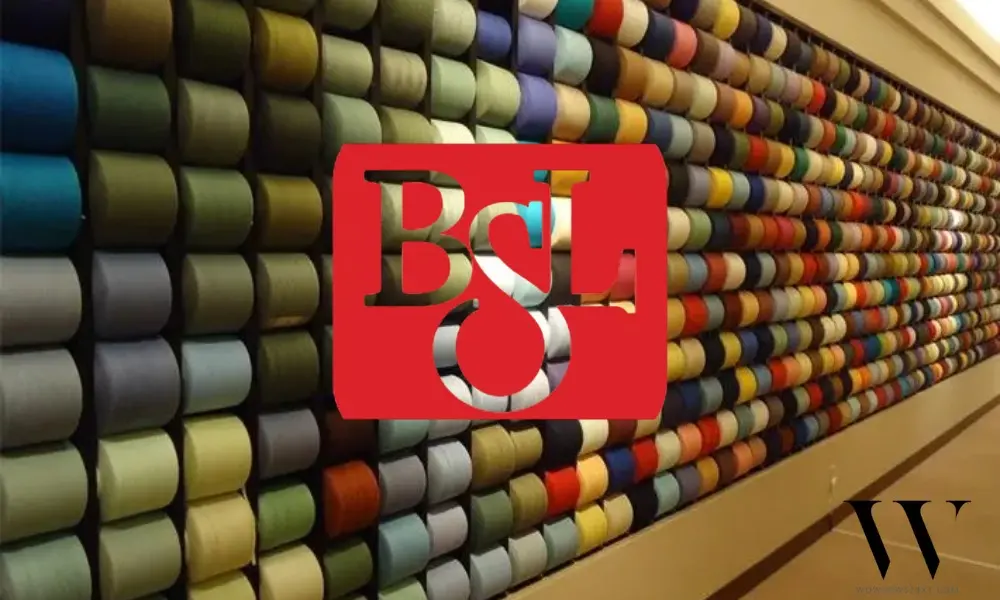 BSL’s Q4 Story Weaves High Revenue With A Narrow 9.9 Million Rupees Loss