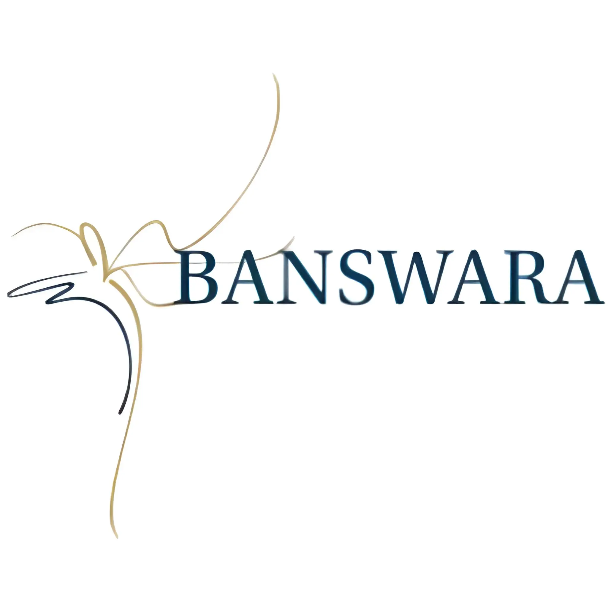 Banswara Syntex Threads Steady Q4, Rewards Investors With Dividend And Leadership Continuity