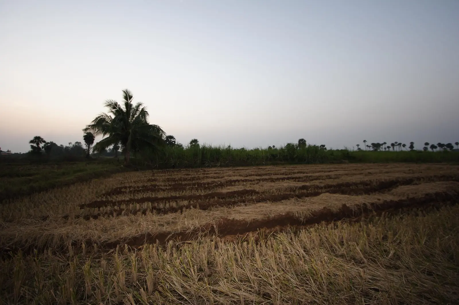 Land Rules 2.0: New Transfer Norms To Turn Idle Public Plots Into Revenue