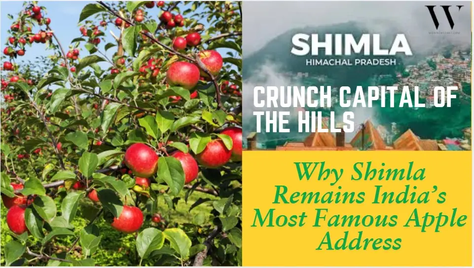 Shimla’s Crunchy Claim To Fame: Inside India’s So-Called Apple City