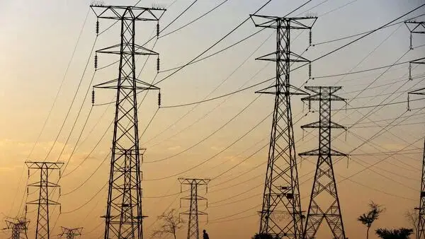 Heatwave has also made Delhi a power guzzler with record high demand of 8,439 MW.