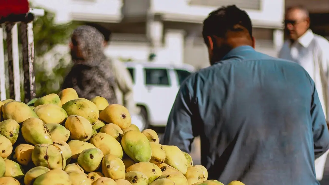 Malihabad’s Sweet Secret: The Uttar Pradesh Town That Rules As Mango Capital Of The World
