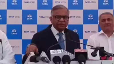 N Chandrasekaran’s 3-Year Masterplan: Can Tata’s New Businesses Turn Profitable?