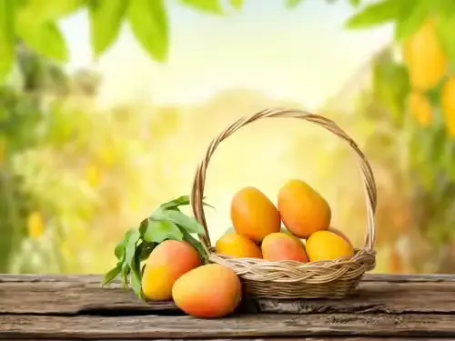 Sweet Habit, Smarter Health: How Mango Balances Indulgence with Wellness