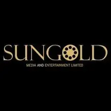 Sungold Media Faces Leadership Change As CFO Jayesh Patni Steps Down