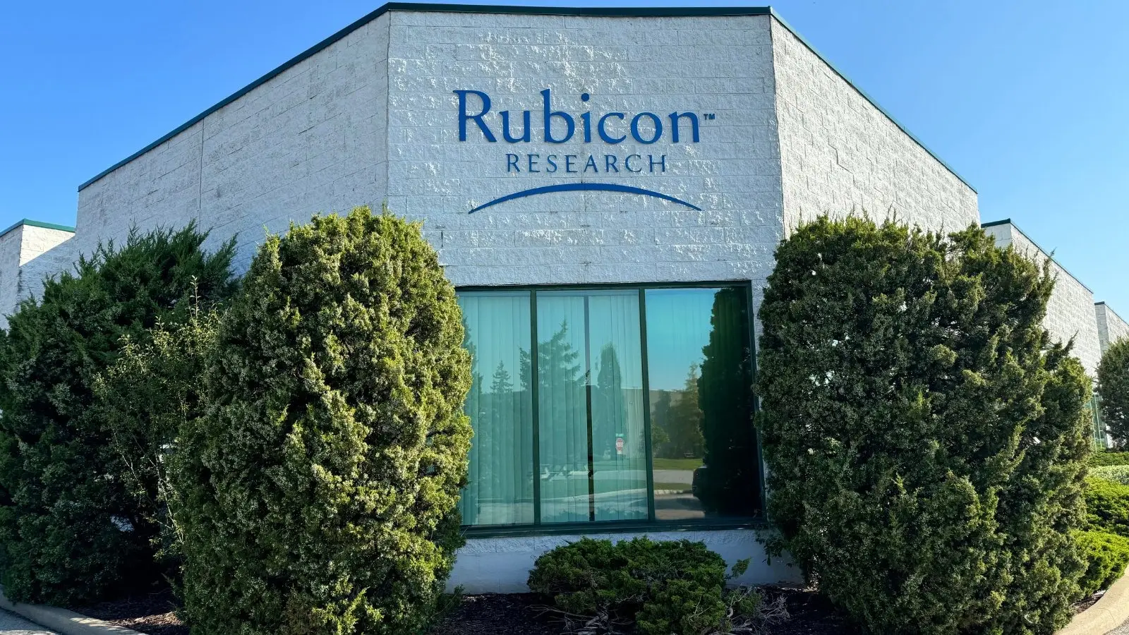 Rubicon Research Delivers Strong Q4 Profitability, Announces FY26 Dividend