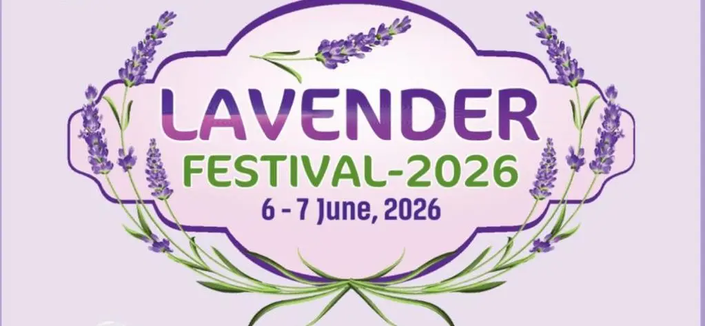 Bhaderwah Valley’s Lavender Festival Brings Fragrance, Farmers, And Future Together