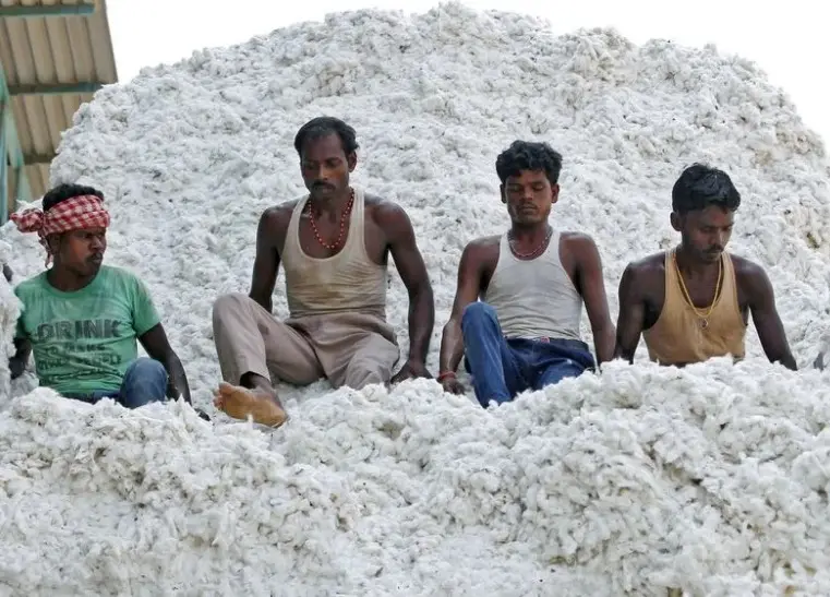 Cotton Duty Holiday: New Tailwind For India’s Textile Exporters