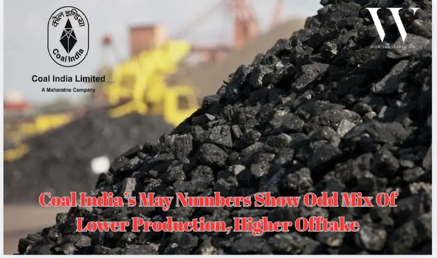 Supply Weakness Meets Steady Demand: Power Sector Lifts More Coal Despite Output Decline