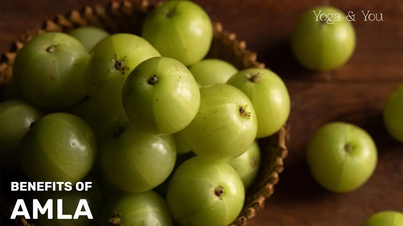 Immunity, Digestion, Glow: Which Amla Style Actually Delivers The Maximum Benefits?